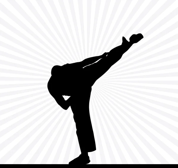 Karate silhouet achtergrond — Stockvector