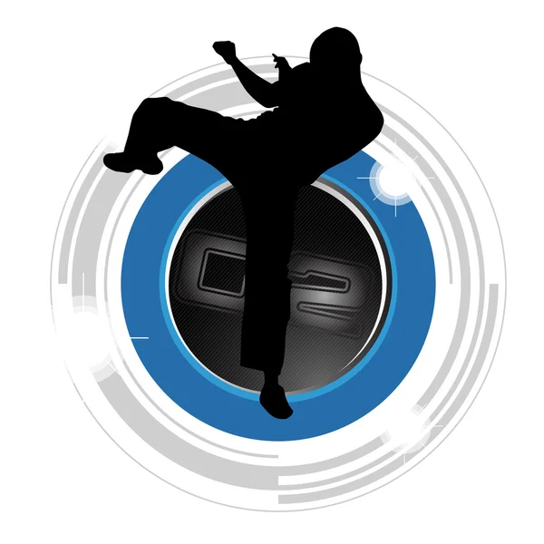 Karate illustrazione silhouette — Foto Stock