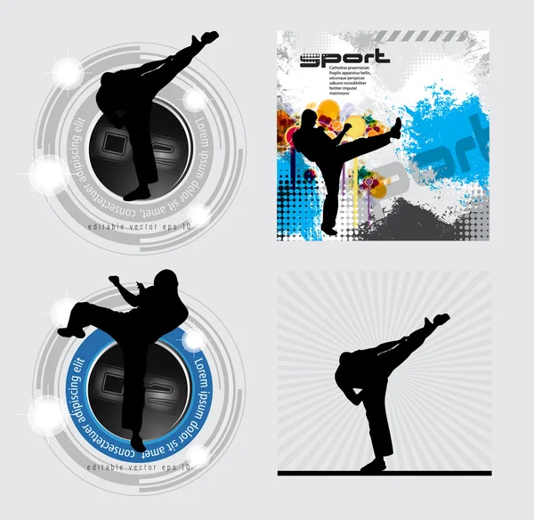 Sport Karate illusztráció — Stock Vector