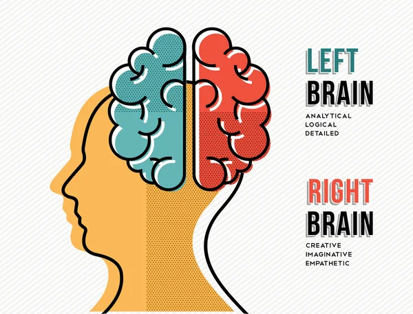 Концепция левого и правого мозга с силуэтом головы — стоковый вектор
