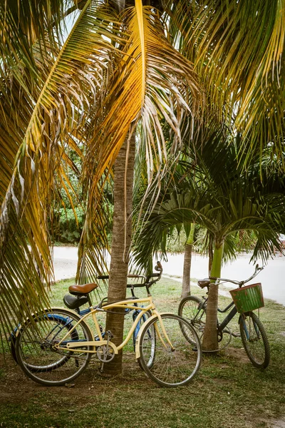 Pensare biciclette concetto verde in vacanza estiva — Foto Stock