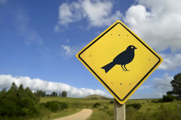 Bird animal wildlife concept icon on road sign — Stock Photo, Image