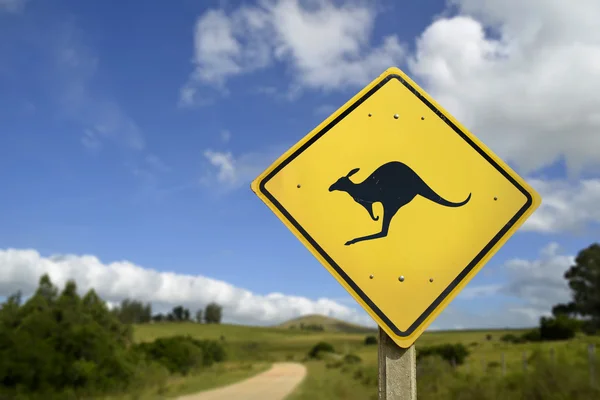 Canguro animal salvaje advertencia en el icono de la señal de tráfico —  Fotos de Stock