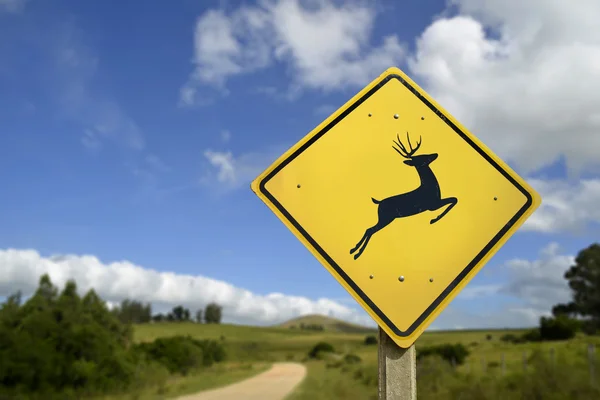 过马路的鹿牌对野生动物保护 — 图库照片