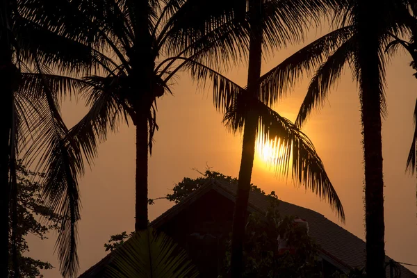 Spiaggia casa tetto con palme sul tramonto estivo — Foto Stock