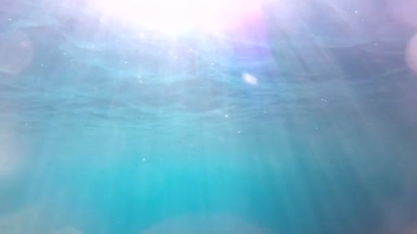 Underwater blue ocean water with sun beams — Stock Video