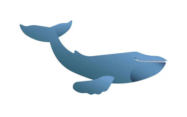 Happy Blue Whale Illustration Isolated White Background Endangered Marine Mammal — Stock Vector