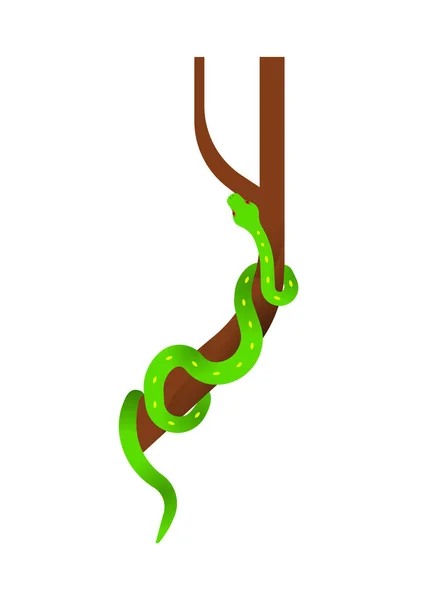 隔離された白い背景に危険な緑のヘビのイラスト エキゾチックなジャングルの爬虫類の動物の概念 現代の漫画スタイルの教育用野生動物のデザイン — ストックベクタ