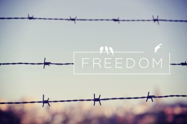 Freedom quote concept barbed wire background clipart