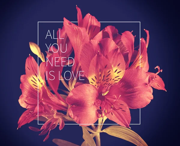 Liebe Zitat Jahrgang Blume Hintergrund — Stockfoto