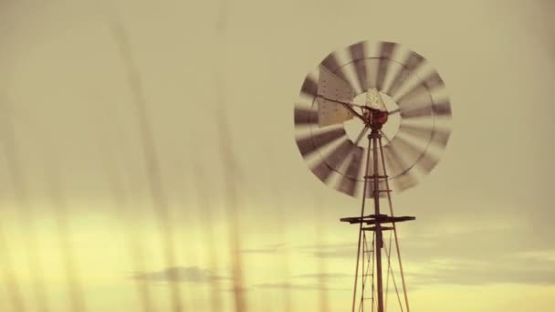 Énergie éolienne verte : moulin à vent vintage au coucher du soleil — Video