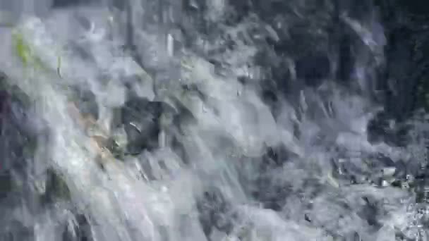 Açık runnig su akışı — Stok video