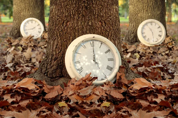Outono estação do tempo relógios folha floresta fundo — Fotografia de Stock