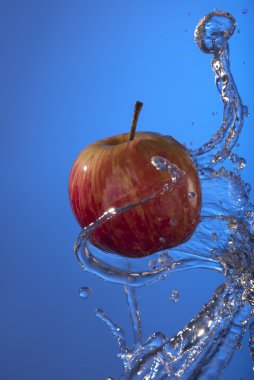 Organic red apple water splash blue background