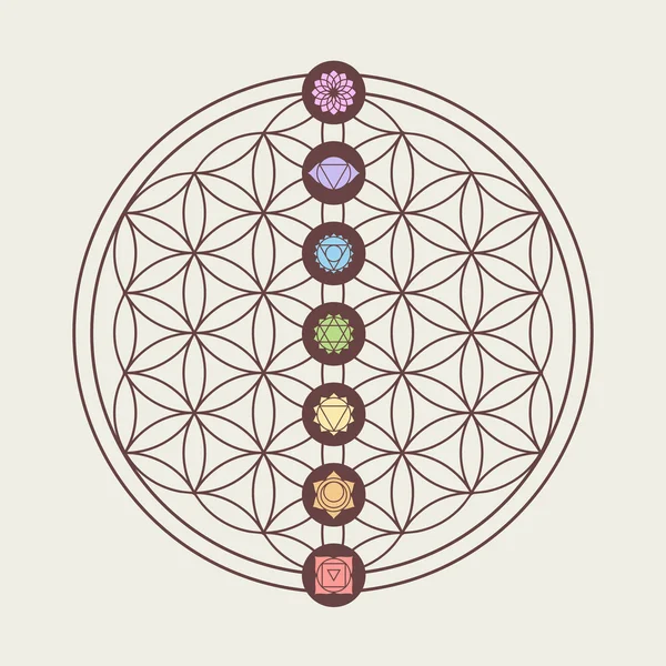 Chakra iconos en el diseño de geometría sagrada — Vector de stock