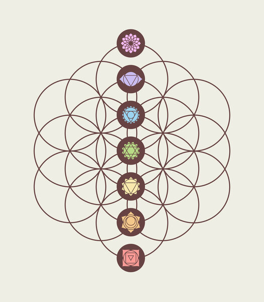 Chakra icons on flower of life modern design