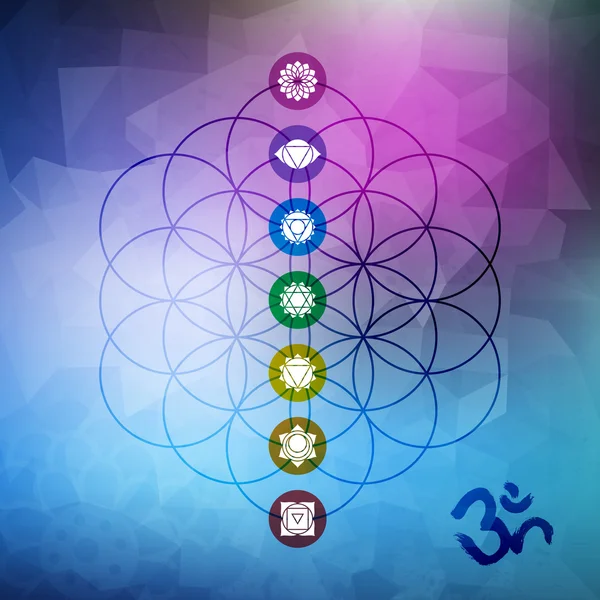 Geometría sagrada flor de la vida con iconos de chakra — Vector de stock