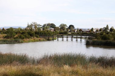 Melbourne, Victoria, Avustralya 'nın güneydoğu banliyölerinde ağaçlar, bahçeler, göl