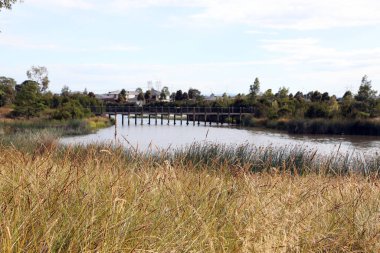 Melbourne, Victoria, Avustralya 'nın güneydoğu banliyölerinde ağaçlar, bahçeler, göl