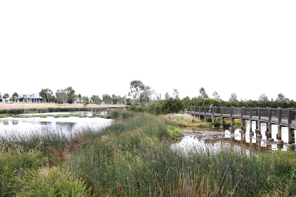 Mokřady Jihovýchodním Předměstí Melbourne Victoria Austrálie Ukazující Stromy Zahrady Jezero — Stock fotografie