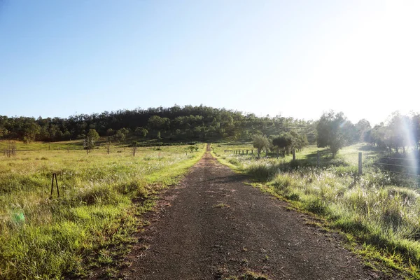 Wspaniały Obraz Wczesnego Ranka Somerset Area Queensland Australia Górami Drzewami — Zdjęcie stockowe