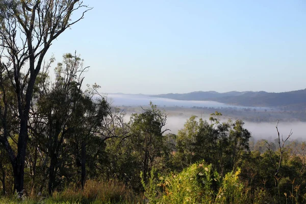 Wspaniały Obraz Wczesnego Ranka Somerset Area Queensland Australia Górami Drzewami — Zdjęcie stockowe