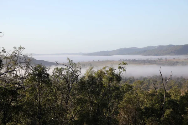 Wspaniały Obraz Wczesnego Ranka Somerset Area Queensland Australia Górami Drzewami — Zdjęcie stockowe