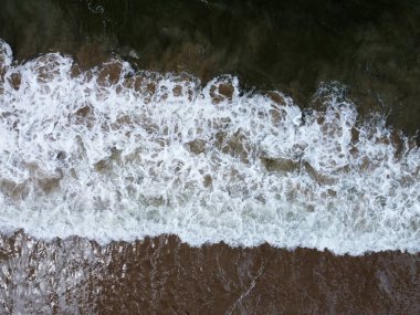 Güzel Bribie Adası, Queensland, Avustralya plaj, su, fauna, araçlar ve parlak yaz güneşiyle