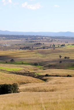 Queensland Avustralya 'nın Killarney kasabasının manzarası. Yuvarlanan tepeler ve yeşil çayırlarla