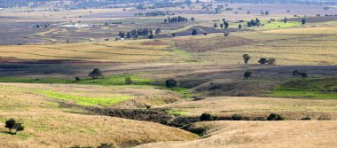 Queensland Avustralya 'nın Killarney kasabasının manzarası. Yuvarlanan tepeler ve yeşil çayırlarla