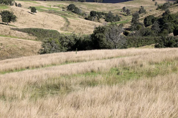 Vistas Ciudad Rural Killarney Queensland Australia Con Colinas Onduladas Verdes — Foto de Stock