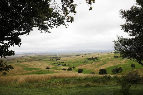 Widok Wiejskie Miasto Killarney Queensland Australia Pagórkami Zielonymi Padokami — Zdjęcie stockowe