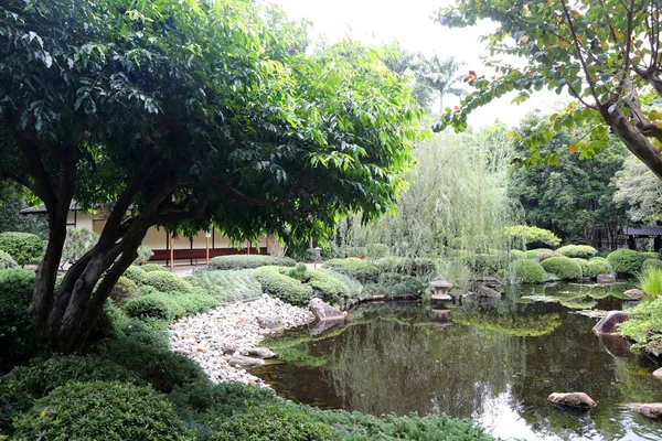 Beautiful gardens of Mt Cootha Botanical Gardens in Brisbane, Queensland, Australia