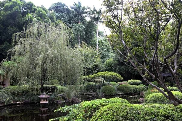 Beautiful Gardens Cootha Botanical Gardens Brisbane Queensland Australia — Stock Photo, Image