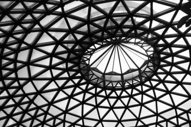 Cootha Botanik Bahçeleri, Brisbane, Queensland, Avustralya 'daki alışılmadık kubbeli sera.