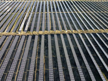 Avustralya 'nın Queensland kırsalında büyük bir güneş paneli çiftliği barındıran yenilenebilir enerji