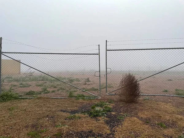 Una Fría Mañana Niebla Ciudad Rural Clifton Queensland Australia — Foto de Stock