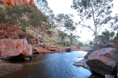 Alice Springs, Kuzey Bölgesi yakınlarındaki MacDonnell Sıradağları 'ndaki Simpsonlar Boşluğu' nun detaylı görüntülerinde turuncu kaya yüzleri ve güzel hayalet sakız ağaçları yer alıyor.
