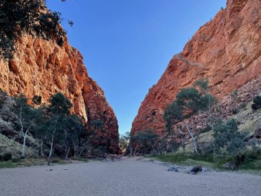 Alice Springs, Kuzey Bölgesi yakınlarındaki MacDonnell Sıradağları 'ndaki Simpsonlar Boşluğu' nun detaylı görüntülerinde turuncu kaya yüzleri ve güzel hayalet sakız ağaçları yer alıyor.