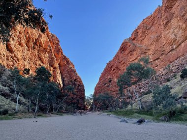 Detail image of Simpsons Gap in the MacDonnell Ranges near Alice Springs, Northern Territory, Australia featuring orange rock faces and beautiful ghost gum trees clipart