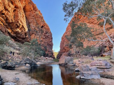 Alice Springs, Kuzey Bölgesi yakınlarındaki MacDonnell Sıradağları 'ndaki Simpsonlar Boşluğu' nun detaylı görüntülerinde turuncu kaya yüzleri ve güzel hayalet sakız ağaçları yer alıyor.