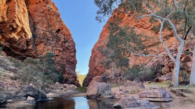 Alice Springs, Kuzey Bölgesi yakınlarındaki MacDonnell Sıradağları 'ndaki Simpsonlar Boşluğu' nun detaylı görüntülerinde turuncu kaya yüzleri ve güzel hayalet sakız ağaçları yer alıyor.
