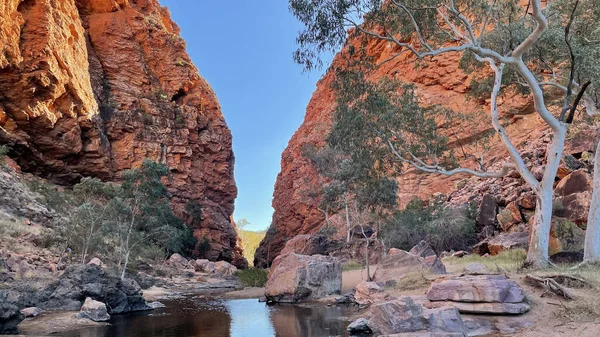 Alice Springs, Kuzey Bölgesi yakınlarındaki MacDonnell Sıradağları 'ndaki Simpsonlar Boşluğu' nun detaylı görüntülerinde turuncu kaya yüzleri ve güzel hayalet sakız ağaçları yer alıyor.
