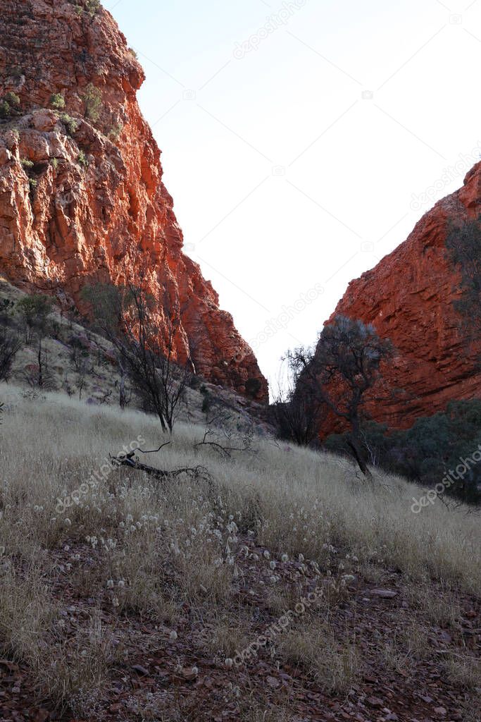 Detail image of Simpsons Gap in the MacDonnell Ranges near Alice Springs, Northern Territory, Australia featuring orange rock faces and beautiful ghost gum trees