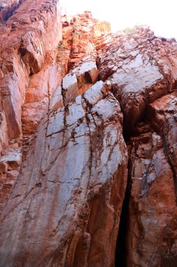 Alice Springs, Kuzey Bölgesi yakınlarındaki MacDonnell Sıradağları 'ndaki Standley Chasm' ın detaylı görüntülerinde turuncu kaya yüzleri ve güzel hayalet sakız ağaçları yer alıyor.