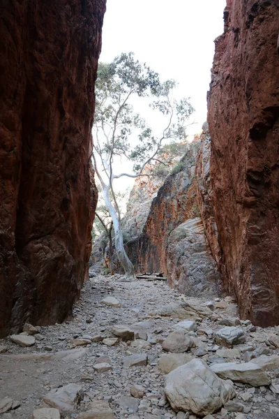 Imagen Detallada Standley Chasm Las Cordilleras Macdonnell Cerca Alice Springs — Foto de Stock