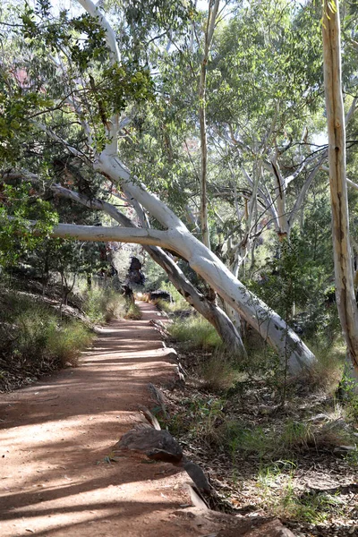 Detailní Obrázek Standleyské Propasti Pohoří Macdonnell Poblíž Alice Springs Severní — Stock fotografie