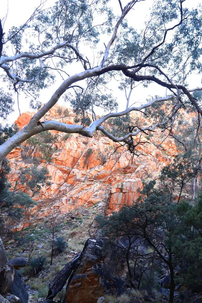 Imagem Detalhe Standley Chasm Macdonnell Ranges Perto Alice Springs Território — Fotografia de Stock