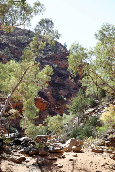 Imagen Detallada Serpentine Gorge Macdonnell Ranges Cerca Alice Springs Territorio —  Fotos de Stock