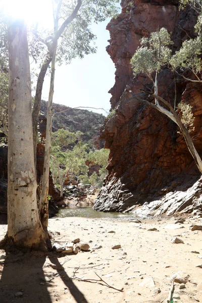 Detail Beeld Van Serpentine Gorge Macdonnell Ranges Bij Alice Springs — Stockfoto